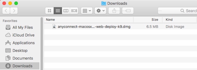 macOS AnyConnect DMG in downloads folder